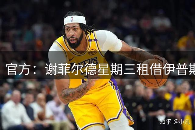 官方：谢菲尔德星期三租借伊普斯维奇前锋阿利·哈马迪，租期一年